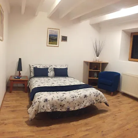 Cozy In * Nis